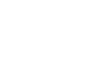 ReGenexsis